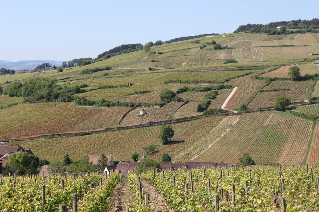 Ces Jours A Pommard Villa Szoba fotó
